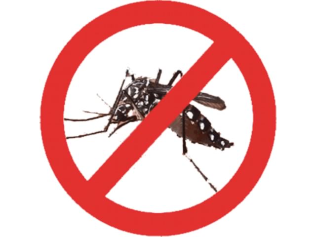 Dengue explode em MG no início de 2018; moradores devem combater aedes aegypti