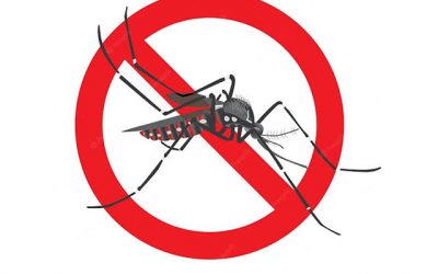 MG registra mais que o triplo de casos de dengue em 2022; condomínios também podem ser foco do aedes