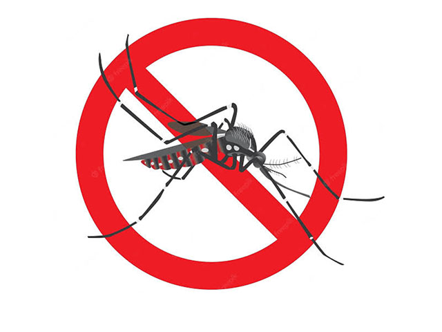 MG registra mais que o triplo de casos de dengue em 2022; condomínios também podem ser foco do aedes