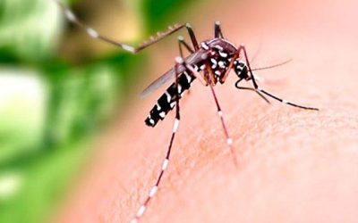 MG em emergência por causa da dengue; combate ao aedes é urgente