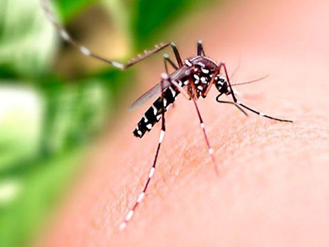 MG em emergência por causa da dengue; combate ao aedes é urgente