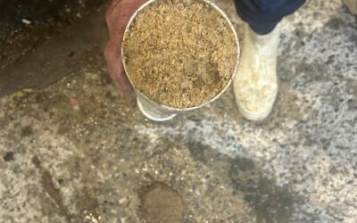 Descarte incorreto de areia de gato causa entupimento na tubulação do condomínio