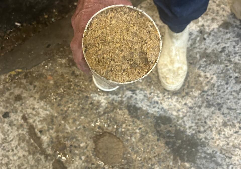 Descarte incorreto de areia de gato causa entupimento na tubulação do condomínio