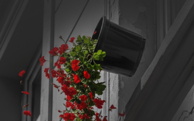 Colocar vasos de plantas em janelas é um risco a condôminos e pedestres